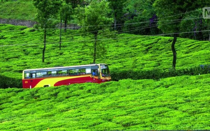 Munnar Day Return Excursion Ex Kochi Covering All Essentials - Key Points