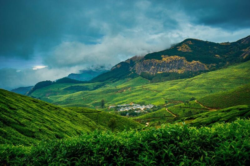 Munnar Day Return Excursion Ex Kochi Covering All Essentials - Itinerary Highlights