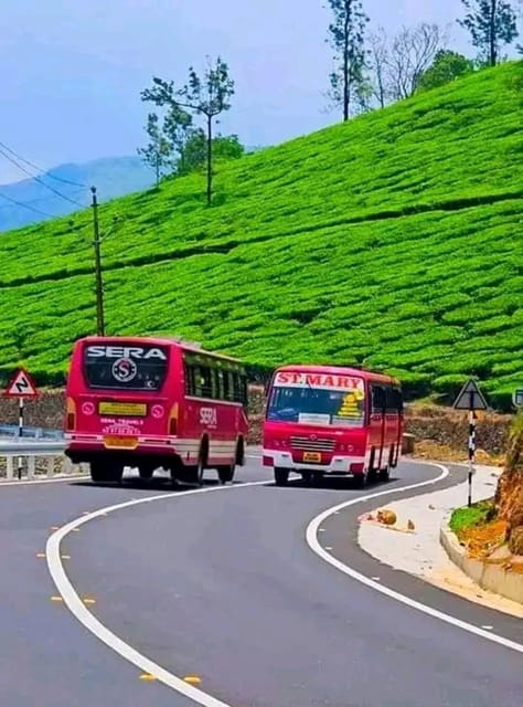 Munnar Day Return Excursion Ex Kochi Covering All Essentials - Payment Flexibility