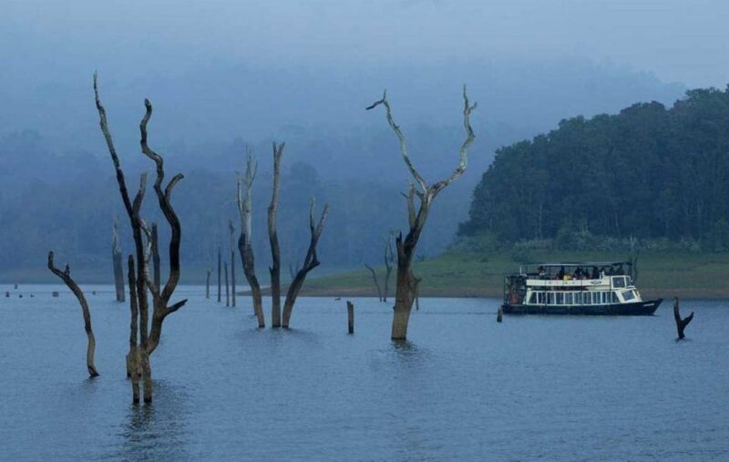 Munnar Hill Station With Periyar Wildlife Tour (03 Days) - Key Points