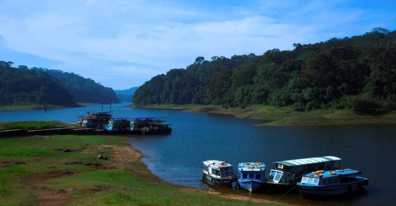Munnar Hill Station With Periyar Wildlife Tour (03 Days) - Itinerary Highlights