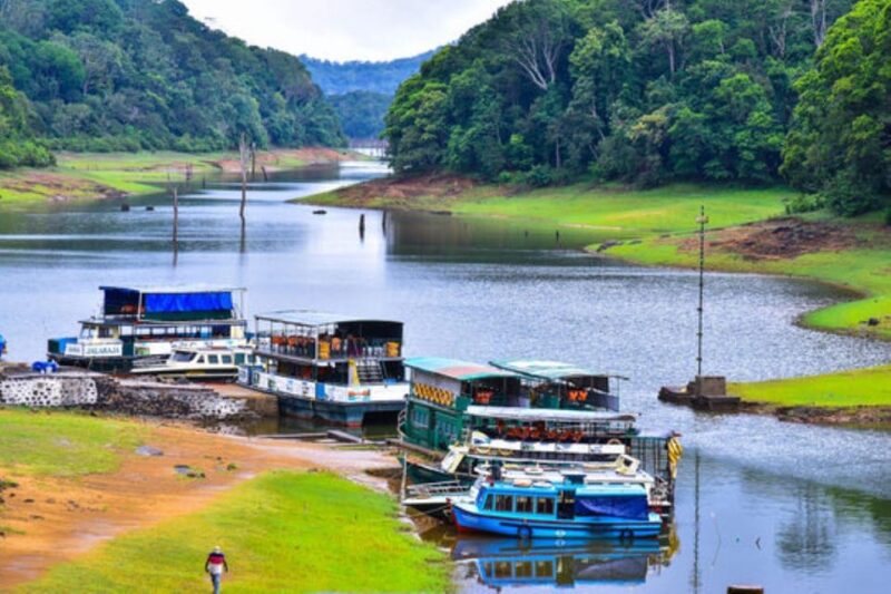 Munnar Hill Station With Periyar Wildlife Tour (03 Days) - Inclusions and Exclusions