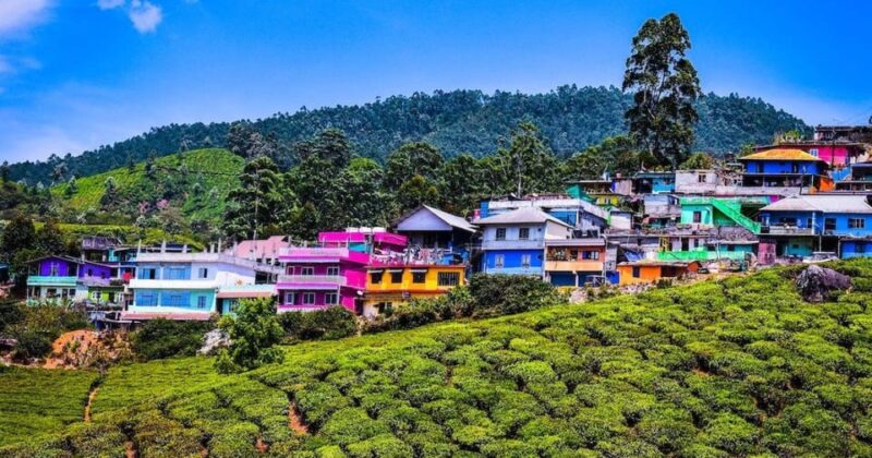 Munnar Hill Station With Periyar Wildlife Tour (03 Days) - Important Information
