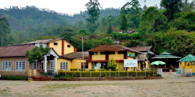 Munnar: Local Highlights Day Tour - Customer Experiences and Reviews