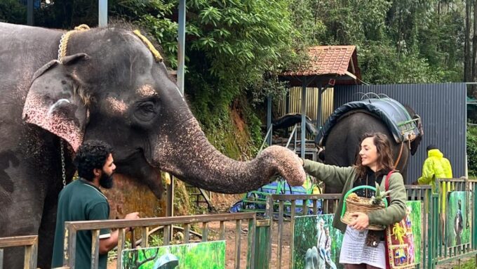 Munnar: Local Highlights Day Tour - Frequently Asked Questions