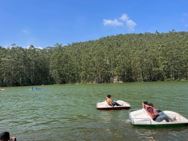 Munnar Local Sightseeing (Tea Valley Trip) - Key Points