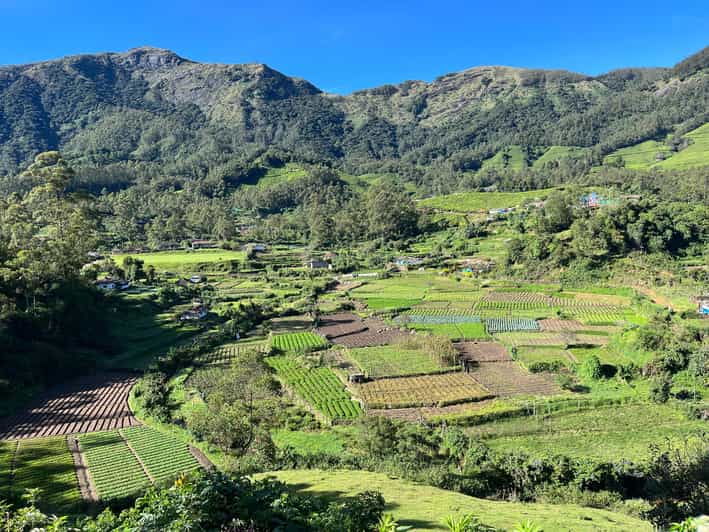 Munnar Local Sightseeing (Tea Valley Trip) - Itinerary Highlights