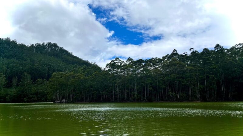 Munnar Local Sightseeing (Tea Valley Trip) - Included and Excluded
