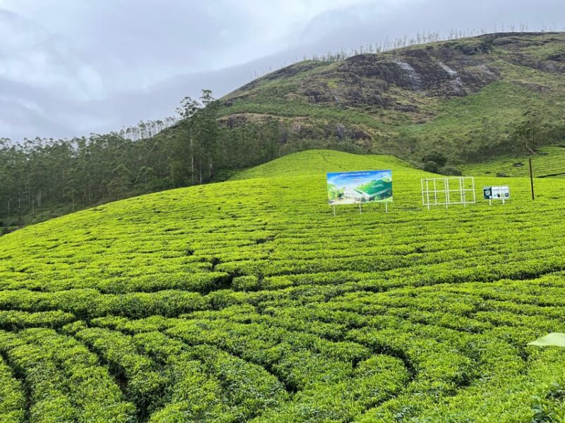 Munnar Local Sightseeing (Tea Valley Trip) - Service Features
