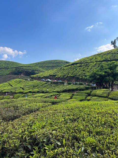 Munnar Local Sightseeing (Tea Valley Trip) - Frequently Asked Questions