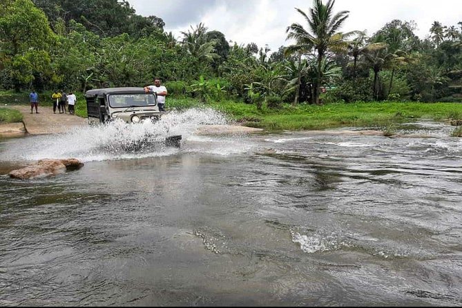 Munnar Mountain Jeep Safari - Exploring Spice Plantations