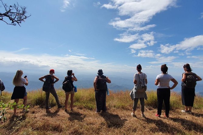 Munnar Mountain Trekking - Landscapes and Nature Interaction