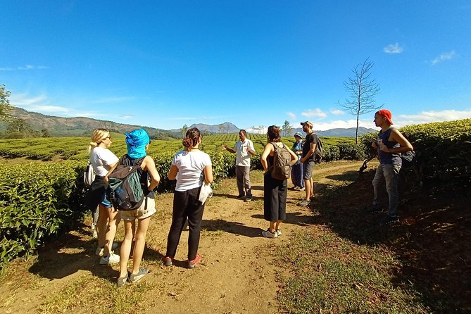 Munnar Mountain Trekking - Safety and Comfort Assurance