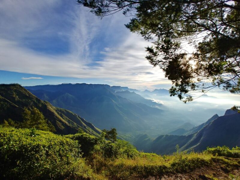 Munnar Private Day Trip - Transportation and Guide
