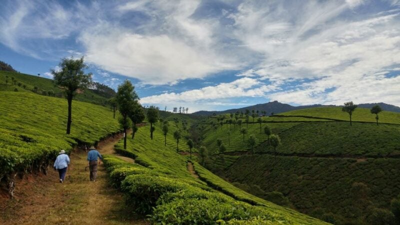 Munnar Private Day Trip - Customer Reviews and Ratings