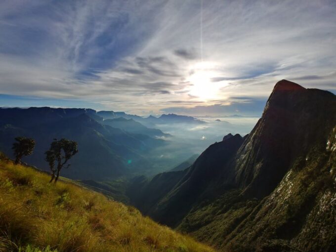 Munnar Private Day Trip - Unforgettable Experiences in Munnar