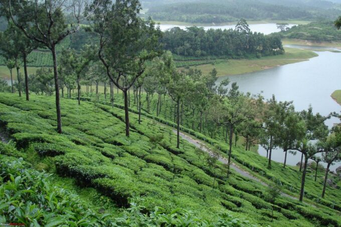Munnar Private Day Trip - Exploring Tea Plantations and Waterfalls