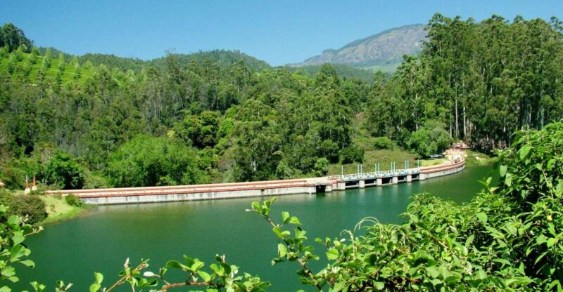 Munnar Site-Seeing Tour - Key Points