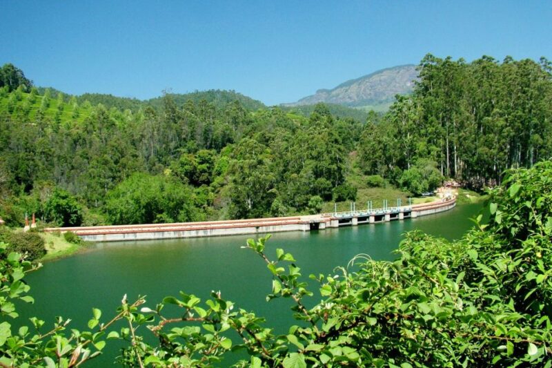 Munnar Site-Seeing Tour - Tour Highlights and Itinerary