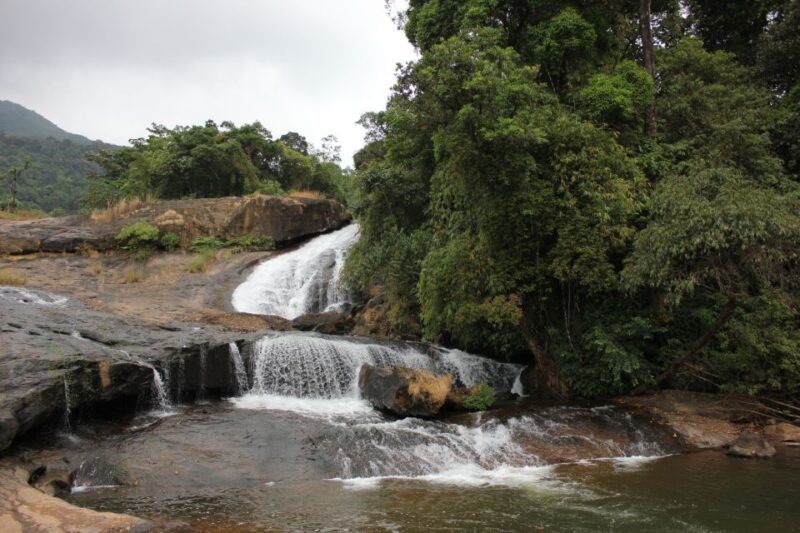 Munnar: Tea Garden and Elephant Safari Trip by 4x4 - Tour Overview and Pricing