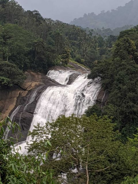 Munnar: Tea Garden and Elephant Safari Trip by 4x4 - Key Stops