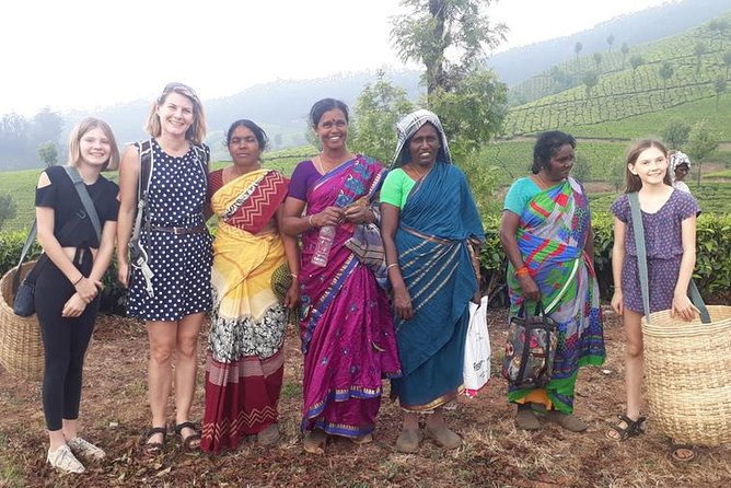 Munnar Tea Trail With Factory Experience ( by Munnar Info) - Tasting and Purchasing Opportunities
