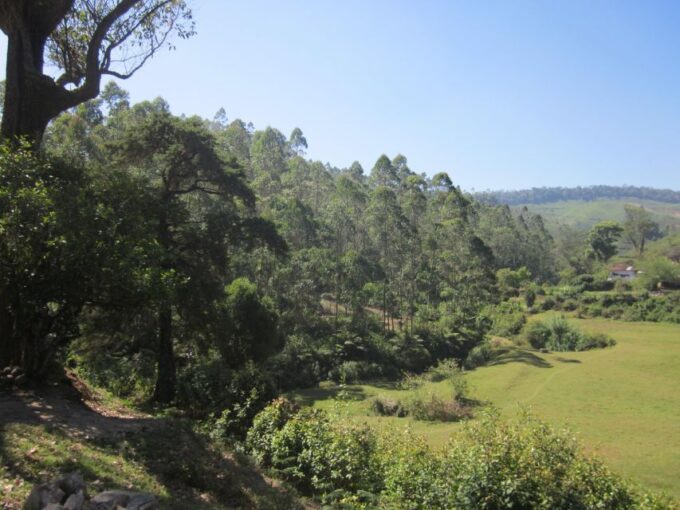 Munnar Tea Trek - Inclusions and Exclusions