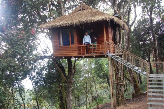 Munnar Tea Trek - Customer Feedback