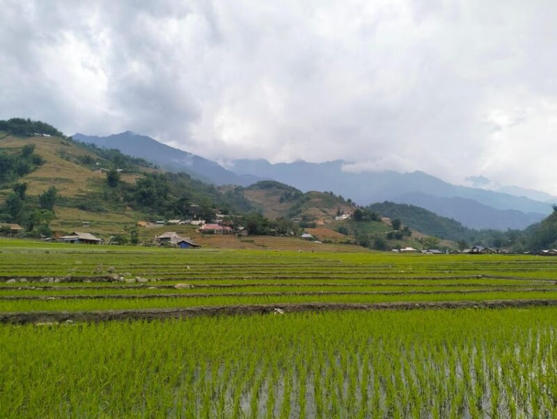 Muong Hoa - Lao Chai - Ta Van Half Day - Morning Trekking