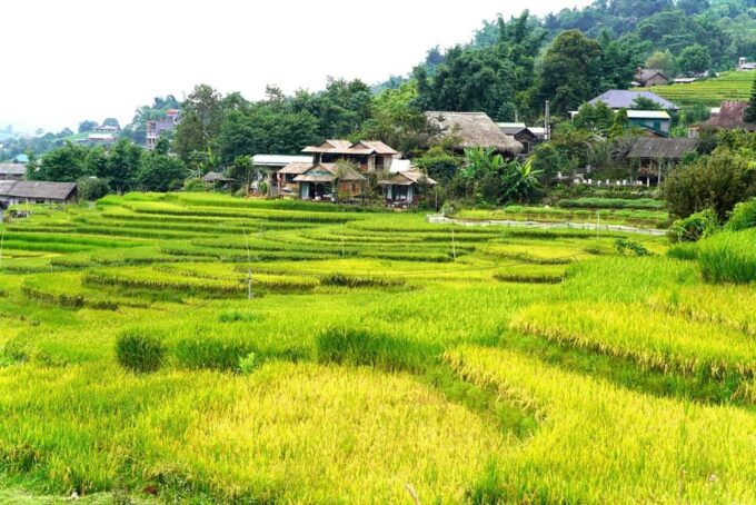 Muong Hoa - Lao Chai - Ta Van Half Day - Recap