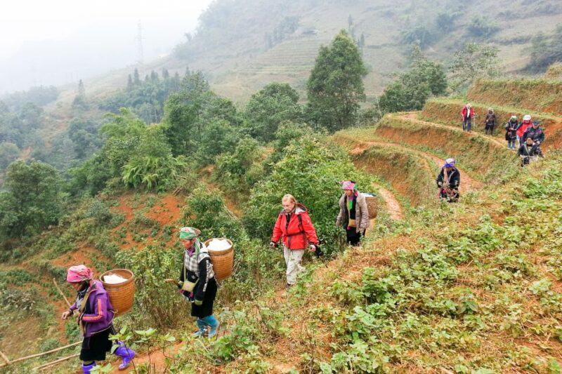 Muong Hoa Valley 2-Day Group Trek With Homestay - Day 2: Hike Through Bamboo Forest