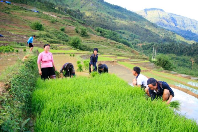 Muong Hoa Valley 2-Day Group Trek With Homestay - Hiking in Hoang Lien National Park