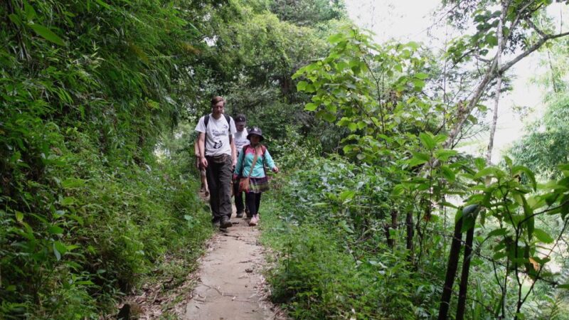 Muong Hoa Valley: Rice Fields, Villages, Mountain Views - Key Points