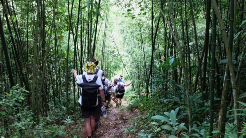 Muong Hoa Valley: Rice Fields, Villages, Mountain Views - Detailed Itinerary for Day 1