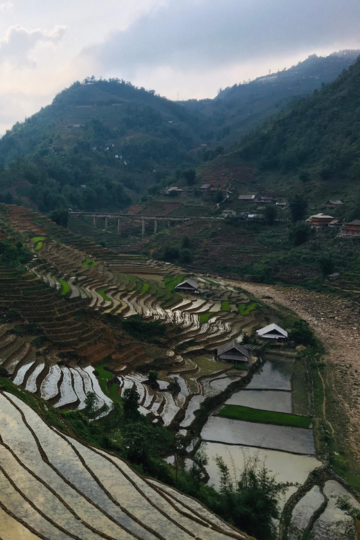 Muong Hoa Valley Trek 2 Days With Local Guide - Explore 100-year-old Rice Terraces