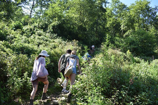 Muong Hoa Valley View & Village Trek in Sapa 1 Day - Traveler Reviews and Feedback