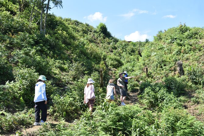 Muong Hoa Valley View & Village Trek in Sapa 1 Day - Exploring the Muong Hoa Valley