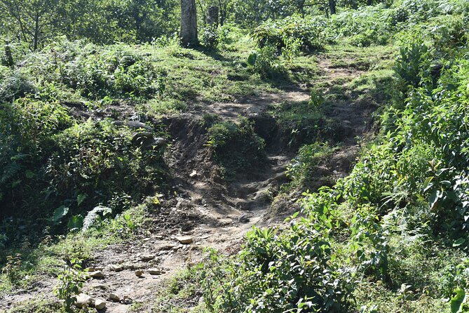 Muong Hoa Valley View & Village Trek in Sapa 1 Day - Taking in Local Cuisine