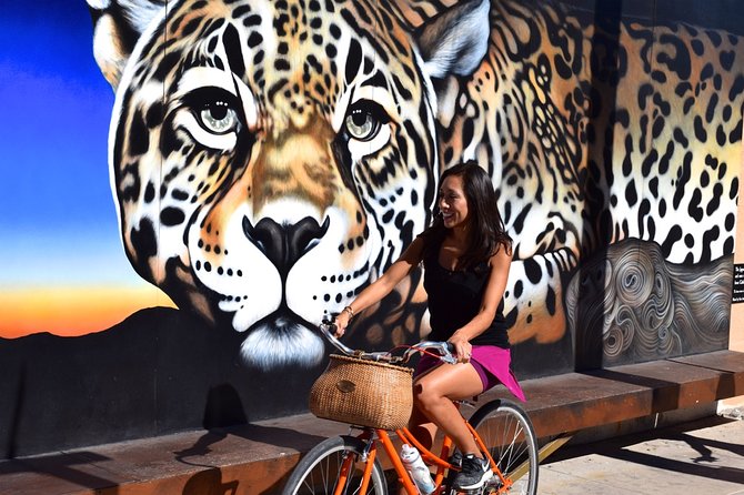 Mural Bike Tour - Exploring Tucsons Neighborhoods
