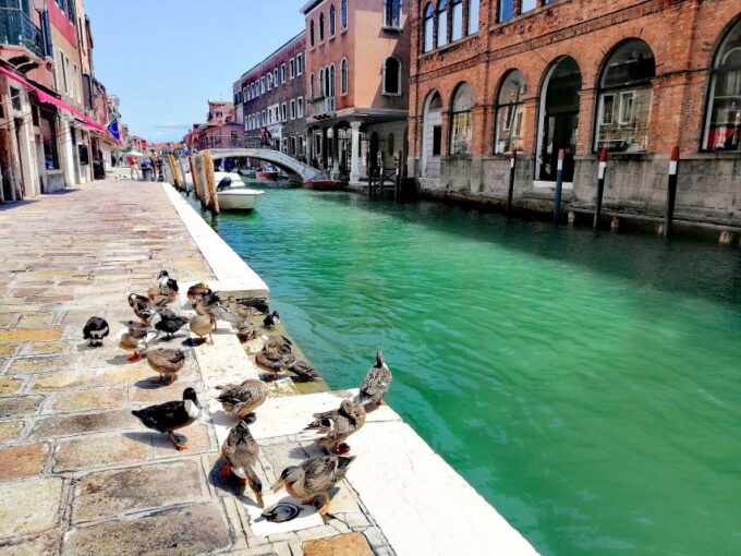 Murano: Glass Lampwork Workshop and Walking Tour - Meeting Point and Mobility
