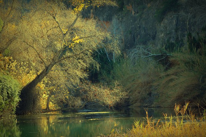 Murcia: Rafting in the Almadenes Canyon, Visit to Two Caves and Photos - Rafting in the Almadenes Canyon