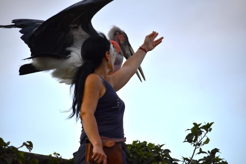 Murcia: Terra Natura Murcia Ticket Entry - Customer Reviews
