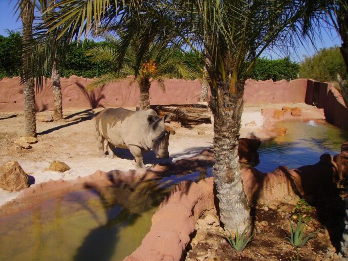 Murcia: Terra Natura Murcia Ticket Entry - Getting to Terra Natura Murcia