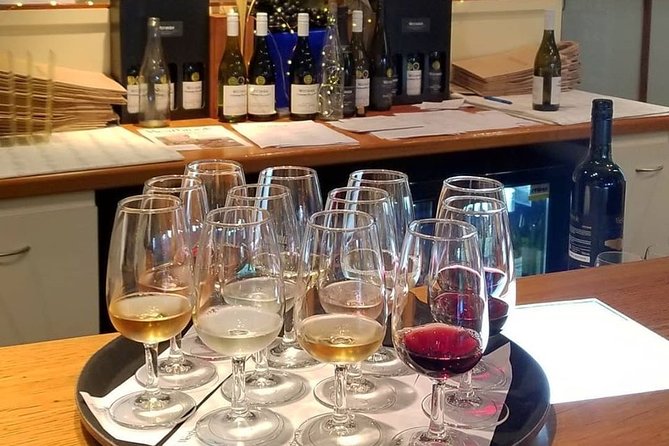 Muriwai Scenic Gannet & Wine Experience Incl. Lunch - Day Tour From Auckland - Transportation and Amenities