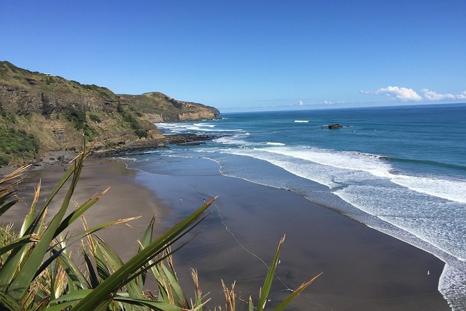 Muriwai Scenic Wine Tour From Auckland - Tour Experience