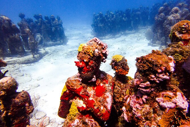 MUSA Museum and Colorful Reef 2 Tank Dive-Certified Divers - Customer Reviews and Ratings