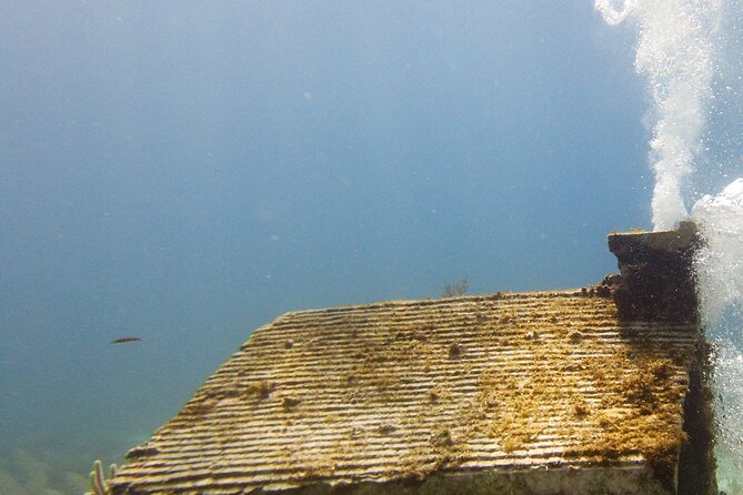 MUSA Museum and Colorful Reef 2 Tank Dive-Certified Divers - Exploring the MUSA Museum