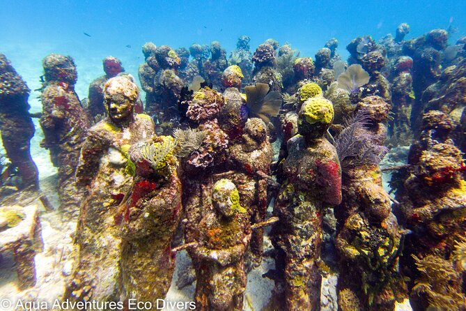 MUSA Museum and Colorful Reef 2 Tank Dive-Certified Divers - Discovering the Coral Reefs