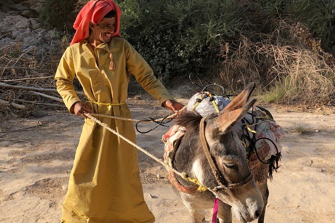 Muscat City & Wadi Shab Full-Day Adventure - Reviews and Ratings