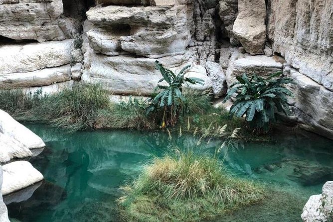 Muscat City & Wadi Shab Full-Day Adventure - Booking Details